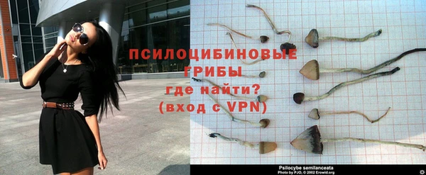 MESCALINE Дмитров